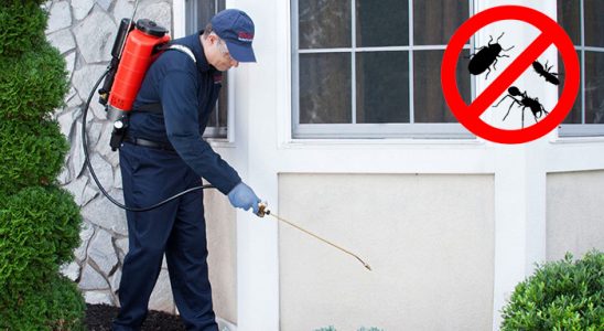 Yurdoğlu Akrep İlaçlama böcek ilaçlama ve haşere kontrolü — ilaclama-tr.com